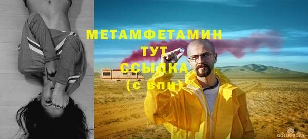 прущие грибы Иннополис
