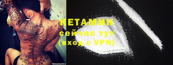 прущие грибы Иннополис