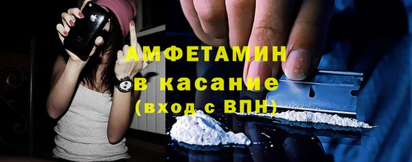 прущие грибы Иннополис