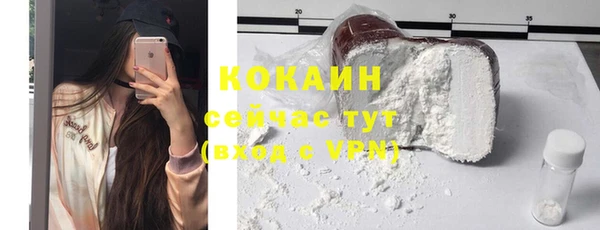 прущие грибы Иннополис