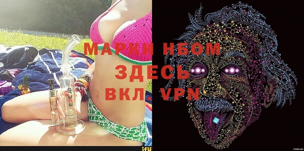прущие грибы Иннополис