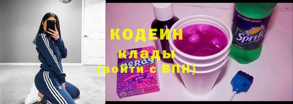 прущие грибы Иннополис
