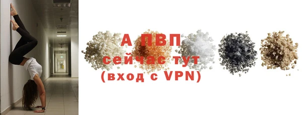 прущие грибы Иннополис