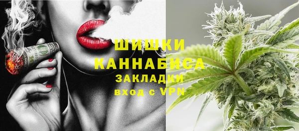 прущие грибы Иннополис