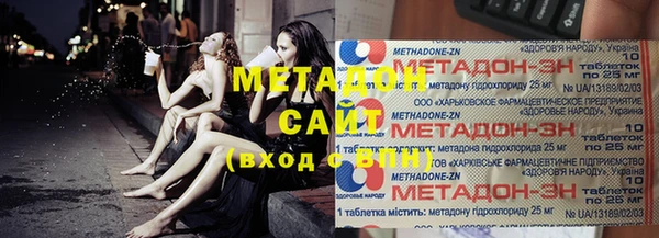 прущие грибы Иннополис