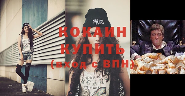 прущие грибы Иннополис