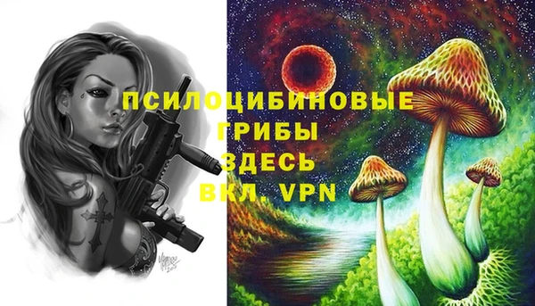 меф VHQ Инта