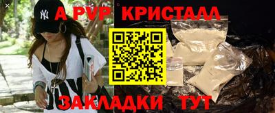 индика Дубна