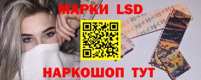 индика Дубна
