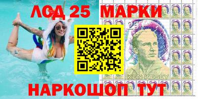 индика Дубна