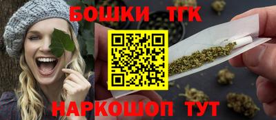индика Дубна