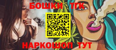 индика Дубна