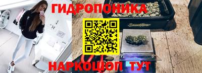 эйфоретик Донецк