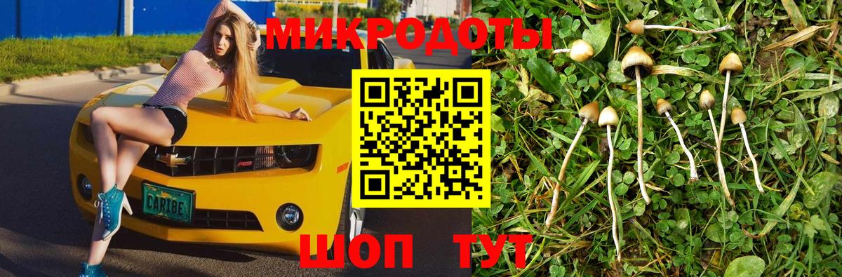 наркотики  Галлюциногенные грибы GOLDEN TEACHER  Вход с VPN  Удомля 